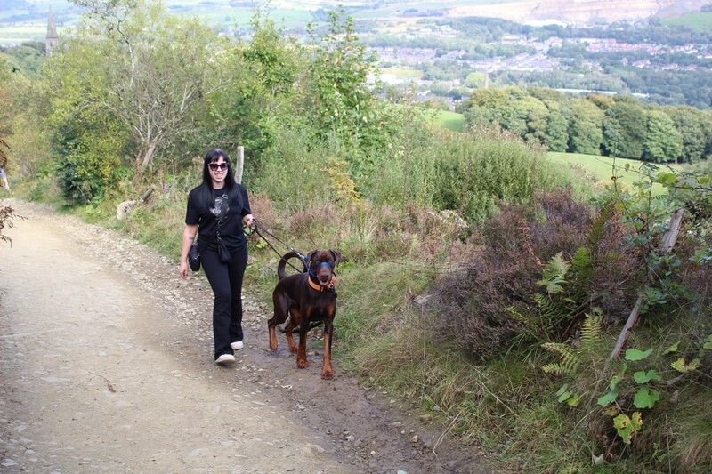 Walking Archie the Dobermann up Holcombe Hill