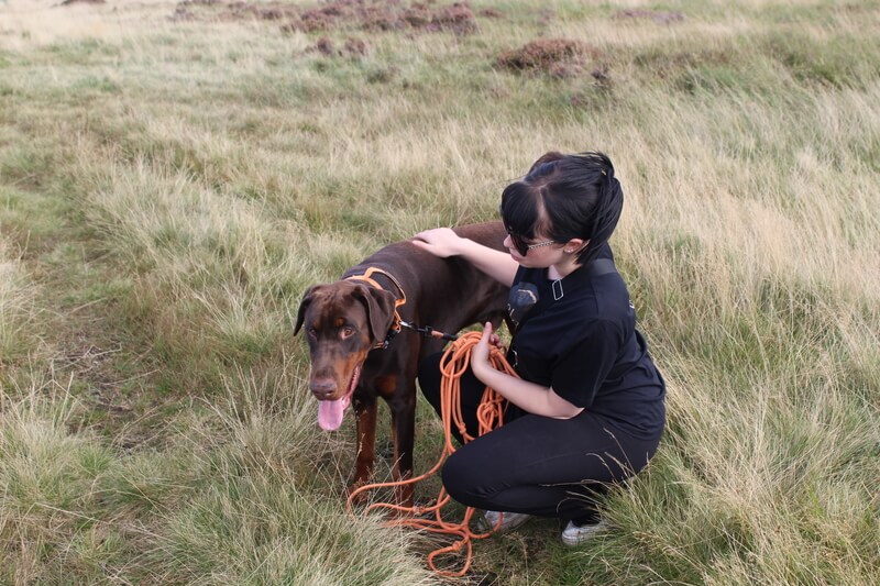 Walking Archie the Dobermann up Holcombe Hill