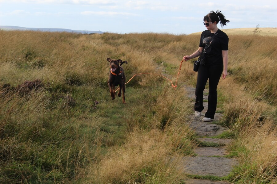 Solo walk up Holcombe Hill in Ramsbottom