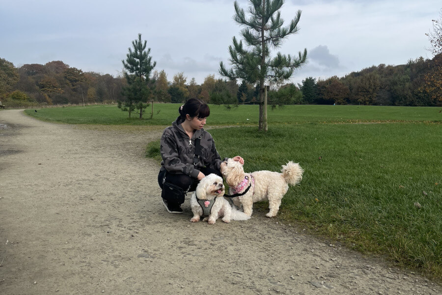 Two small white dogs out in a park with dog walker.