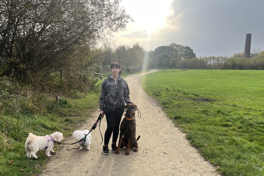 Group dog walk at Burrs in Brandlesholme