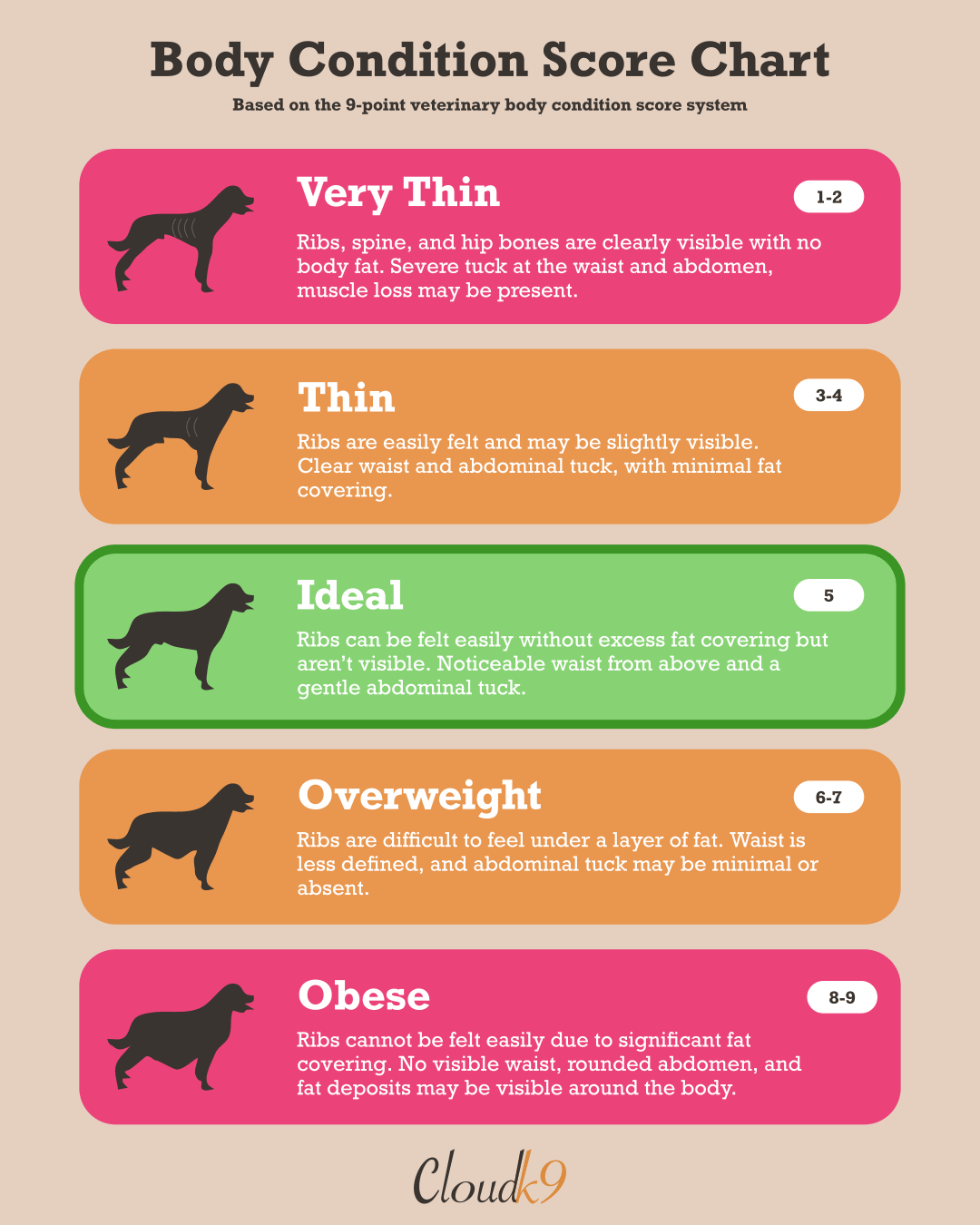 Dog body condition score chart showing very thin, thin, ideal, overweight and obese on a 9-point veterinary scale