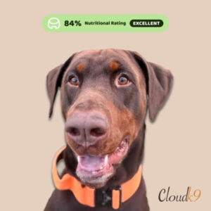 Cloud K9 Archie and AADF Rating Excellent