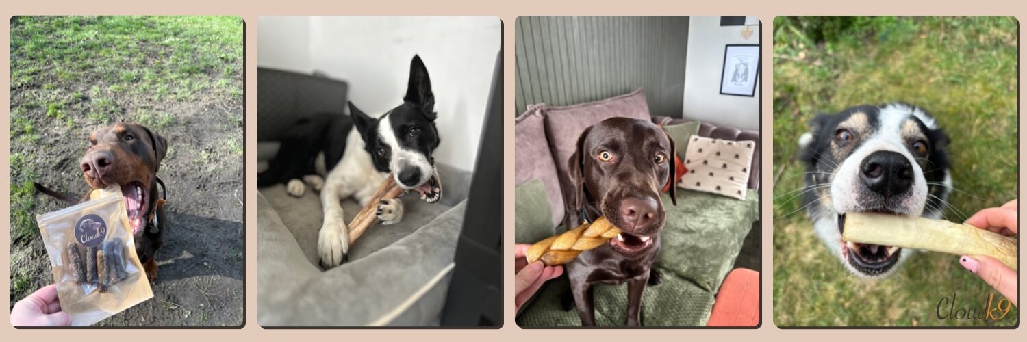 Collage of dog having Cloud K9 treats and chews