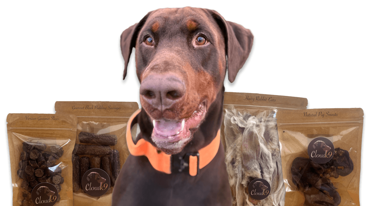Archie the Dobermann and Cloud K9 Natural Treats