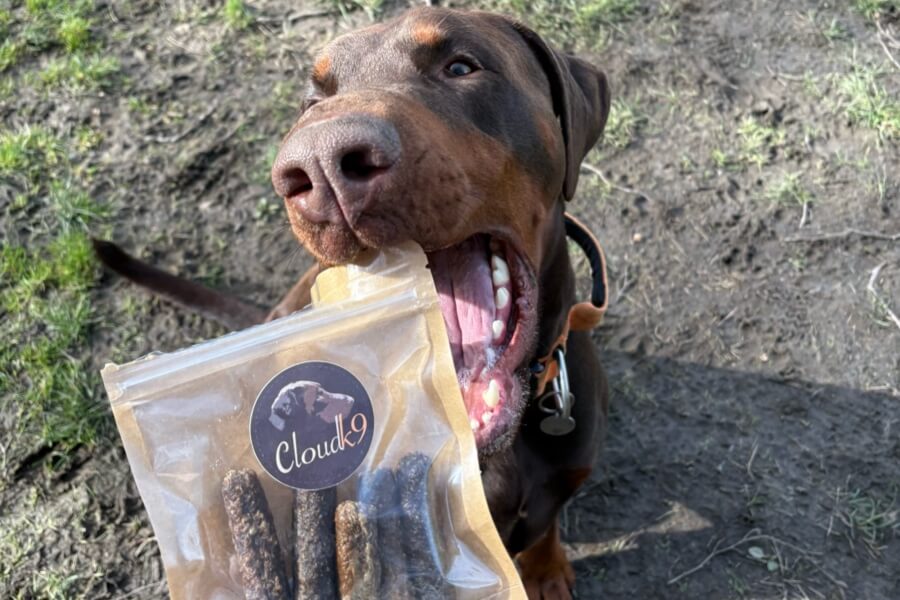 Dobermann with Cloud K9 gourmet sausage pack