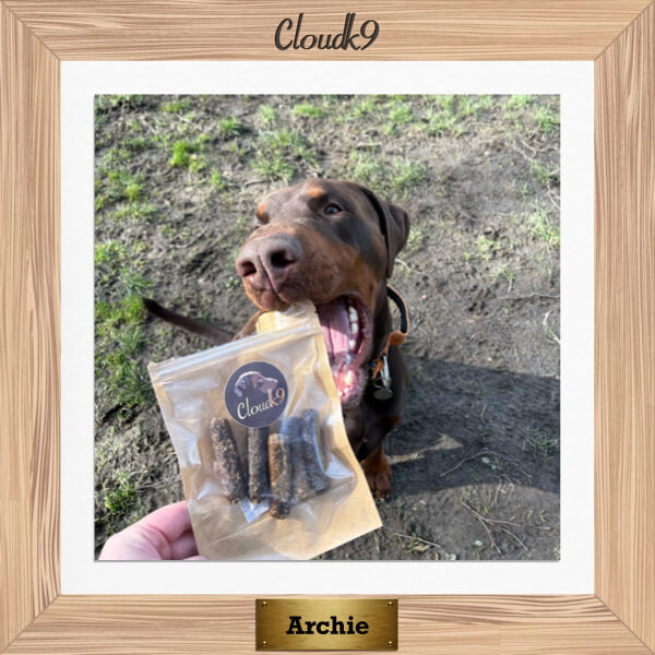Archie the Dobermann with a pack of Cloud K9 Gourmet Sausages