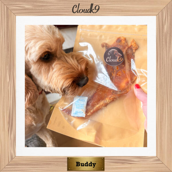 Buddy the Cockapoo with pack of Cloud K9 long lasting chews