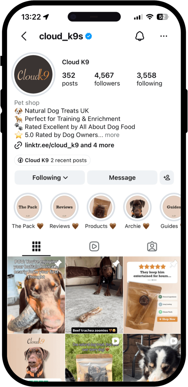 Preview of Cloud K9 Instagram profile on an iPhone