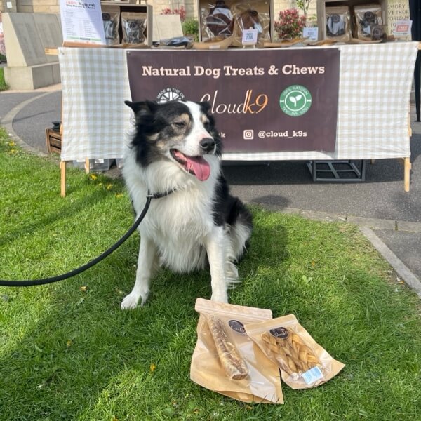 Border Collie sitting in front of the Cloud K9 natural dog treats and chews stall