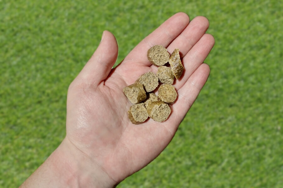Cloud K9 training treats in hand