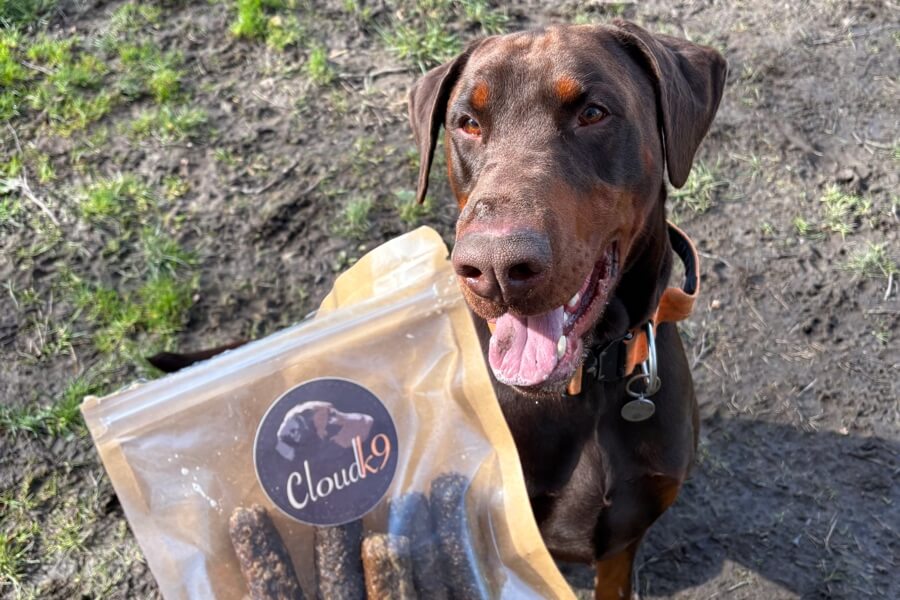 Dobermann with Cloud K9 training treats packe